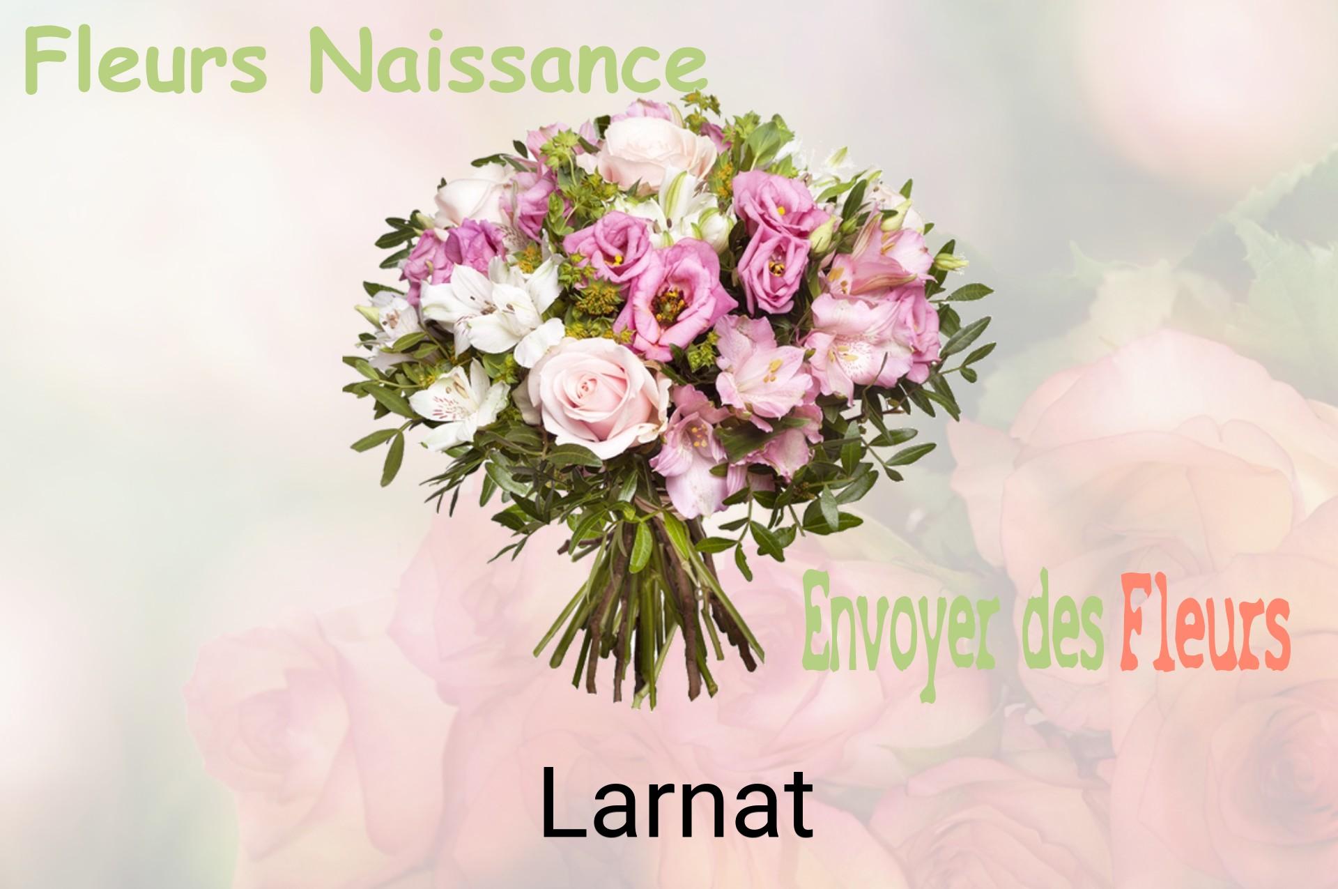 Bouquet de fleurs de naissance livré à Larnat